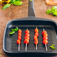 Foodie Ribbed Grill Pan